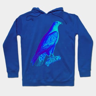 bird of prey,accipitridae,vulture,golden eagle,aquila,vertebrate,bald eagle,haliaeetus,icthyophaga,buteoninae,species,genus,raptor Hoodie